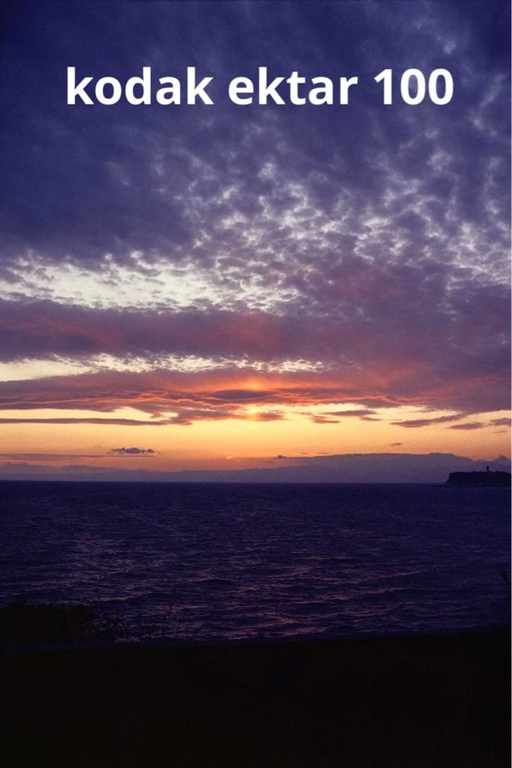 voigtlander Vitessa L フィルムカメラ 実用品