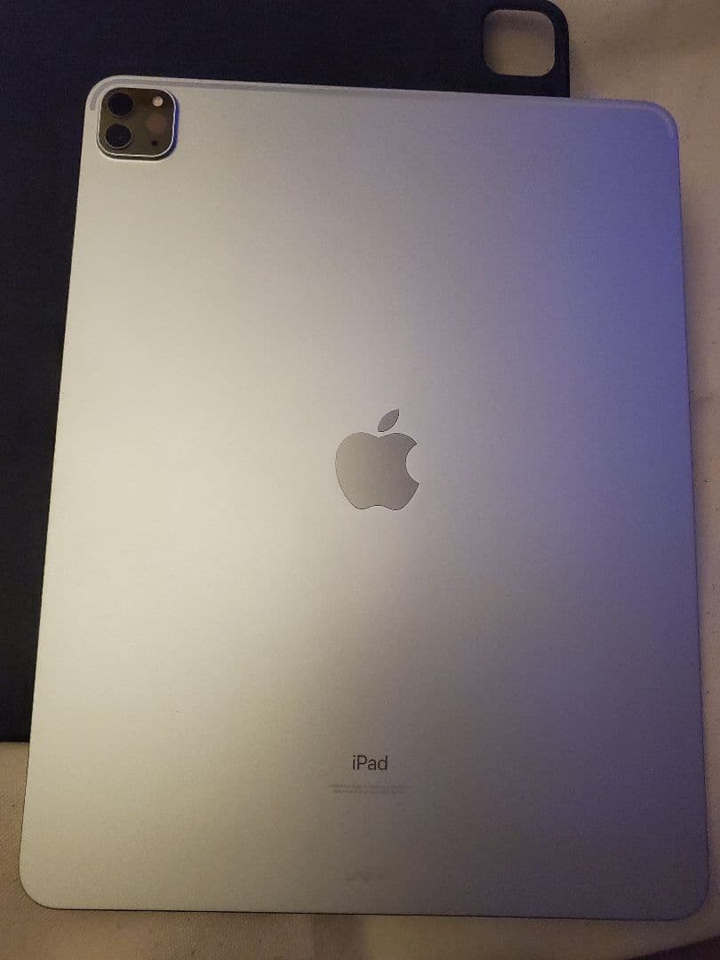 き*む様 iPad Pro 12.9インチ　256GB　Retina 第5世代