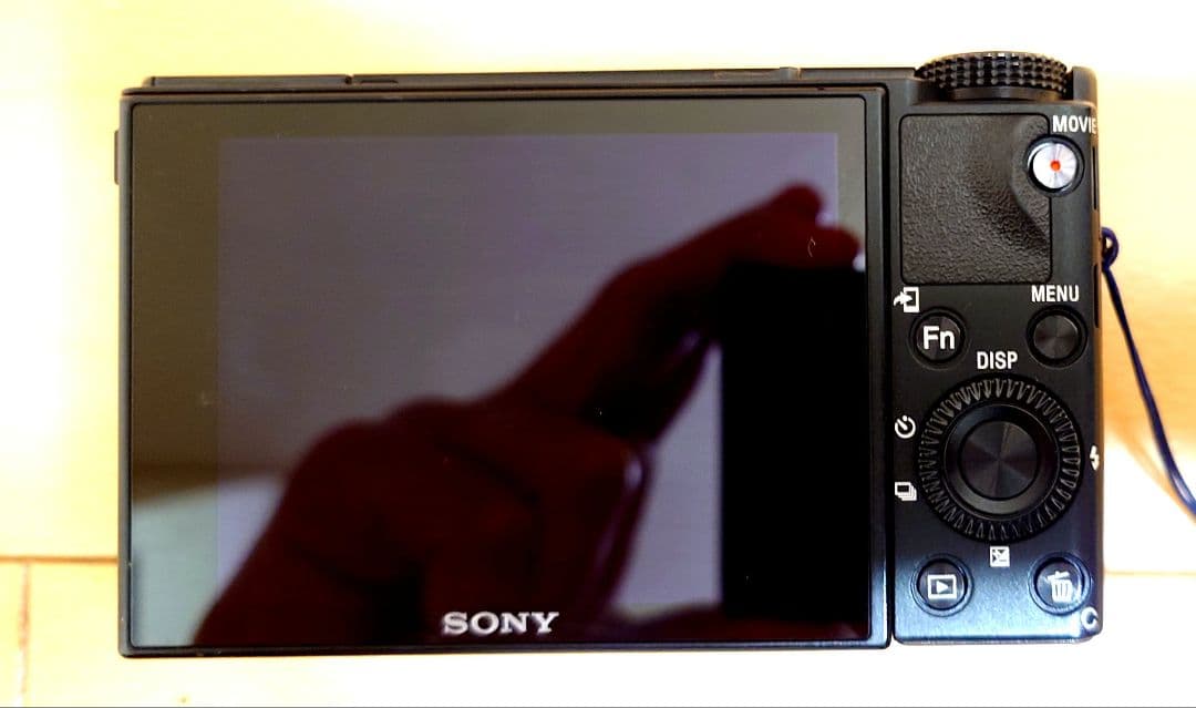 SONY DSC-RX100M6 おまけ多数