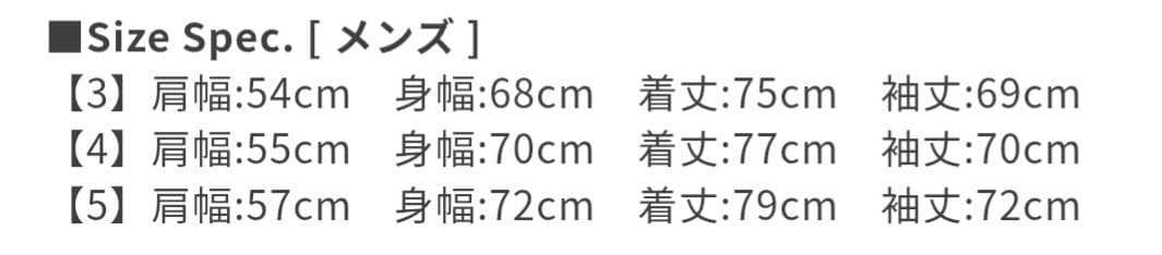 SUPER LIGHT NYLON RIPSTOP DOWN オーラリー