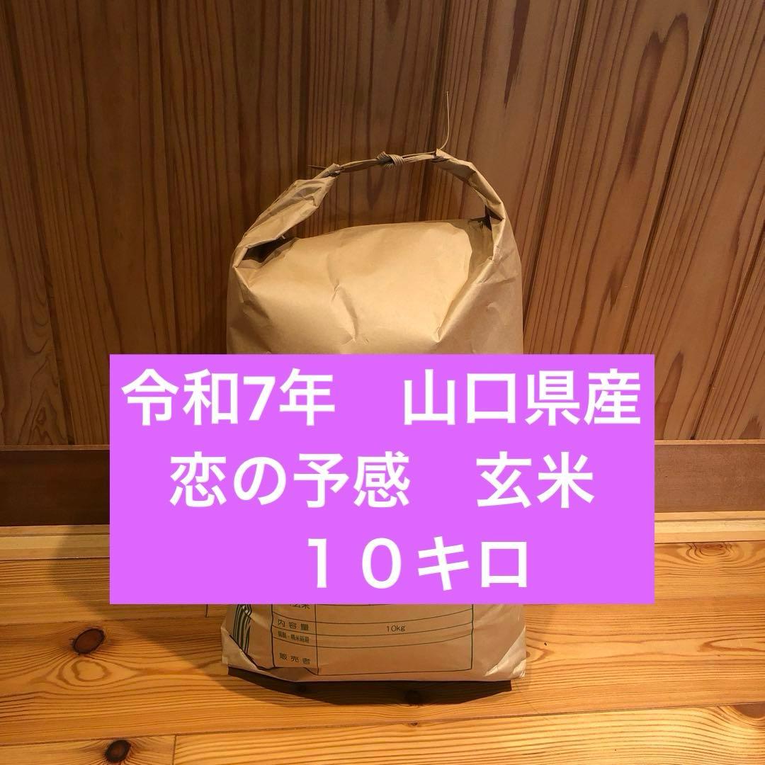 令和7年　山口県産　恋の予感　玄米１０キロ