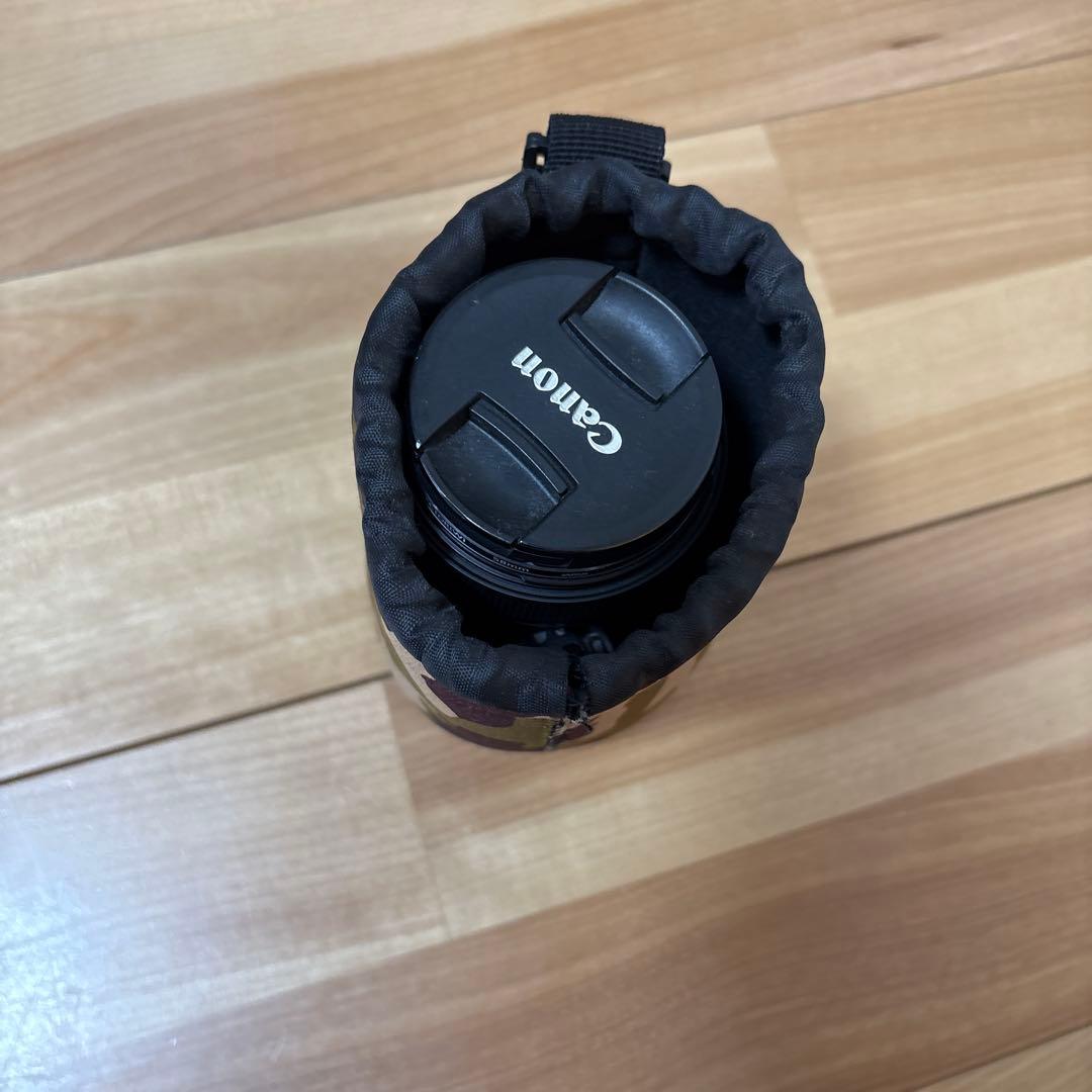 望遠レンズ　Canon EFS 55-250mm