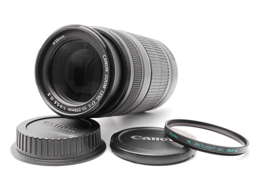 キャノン EF-S 55-250mm IS II★スポーツ撮影にも◎軽量ズーム！