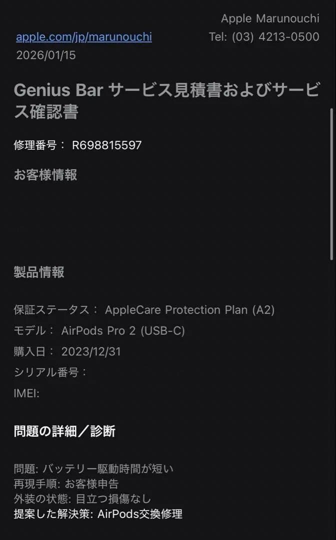 Airpods Pro 2 USB-Cタイプ 本体