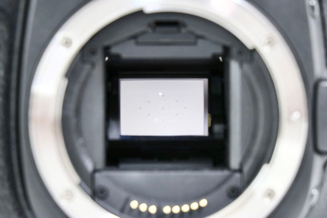 キャノン Canon EOS 40D ボディ