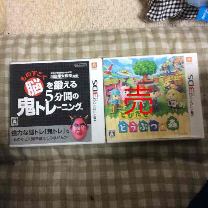 3DSの、カセット