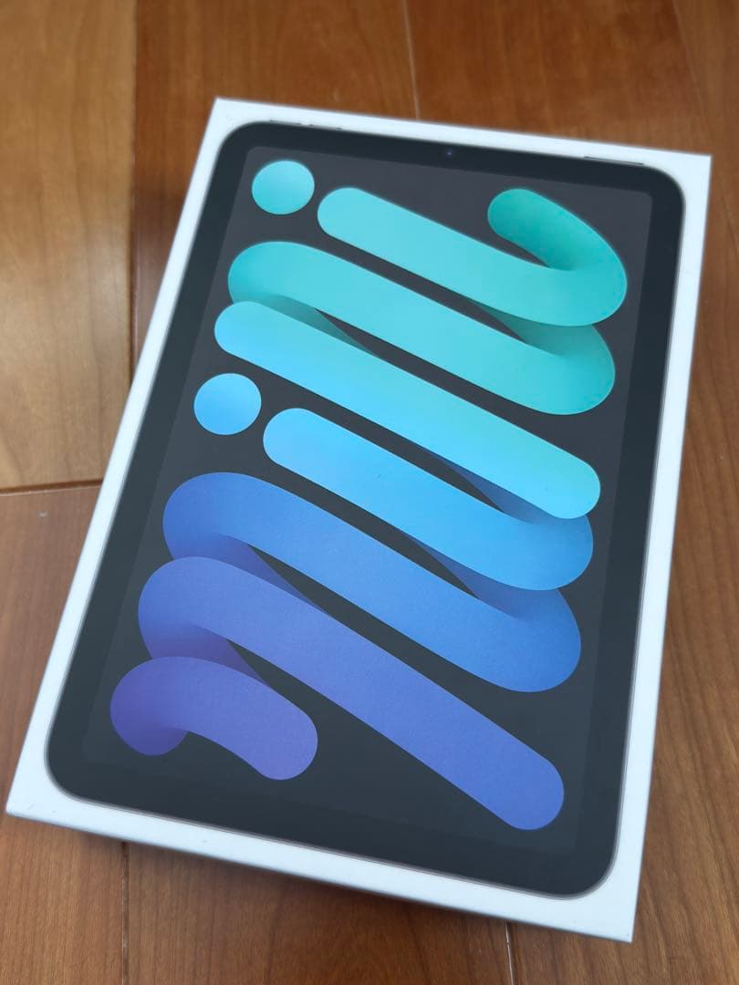 iPad mini (第6世代) スペースグレー SIMフリー