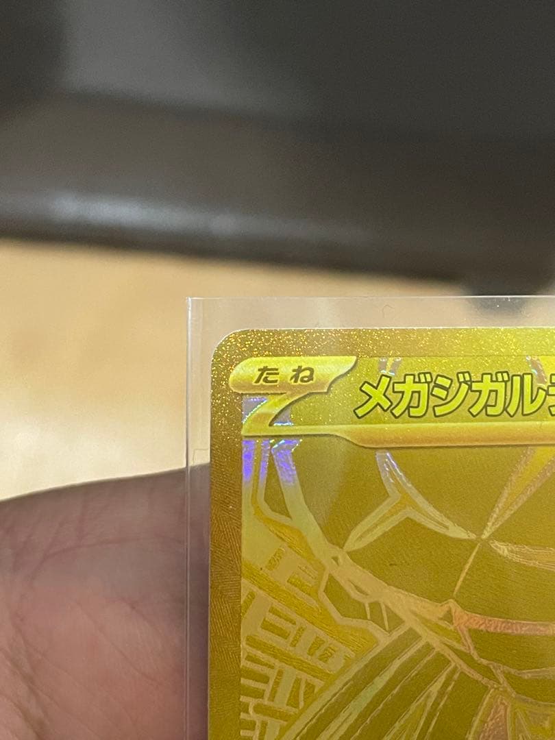 メガジガルデex MUR(おまけ有)