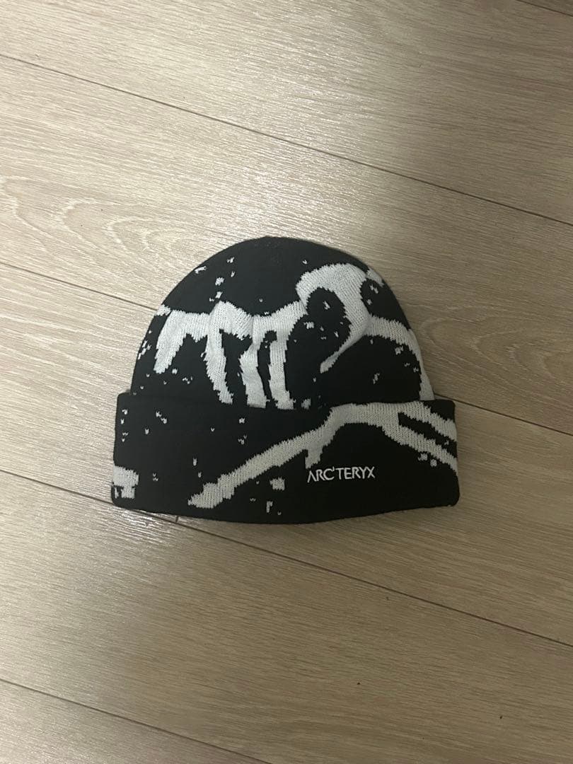 ARC'TERYXビーニー　深水光太