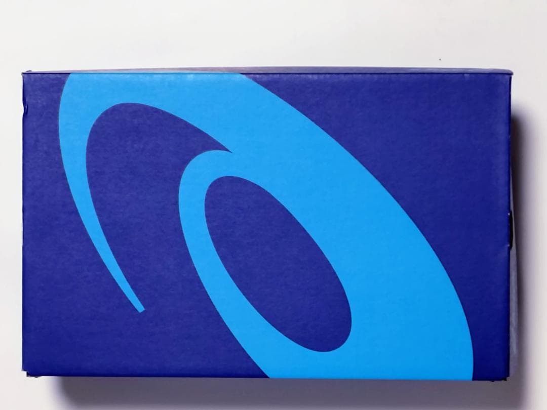 asics TARTHEREDGE WIDE　メンズ　ランニングシューズ