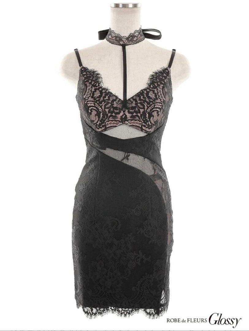 ROBE de FLEURS Glossy 総レース×シアー切り替えドレス