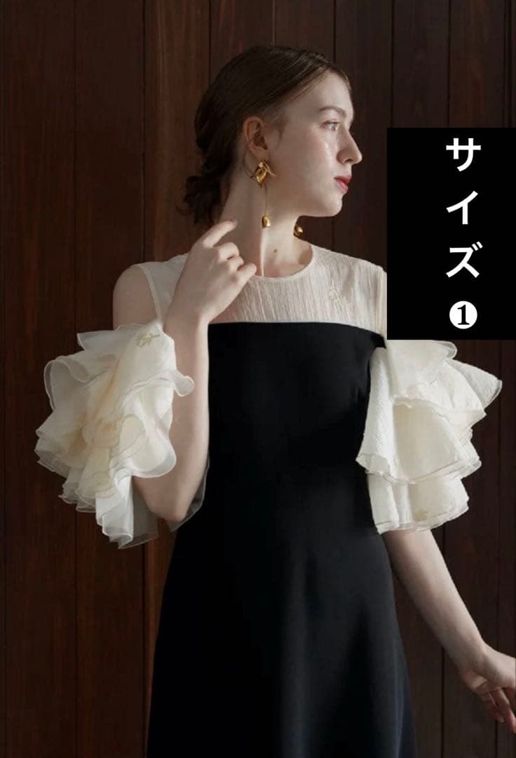 K*o様 Acka. organdy frill dress オケージョンドレス