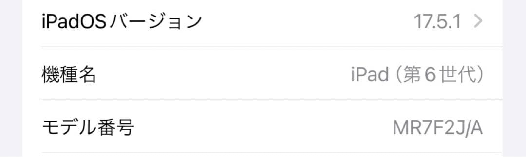 【送料込み】iPad 第6世代 32GB バッテリー良好 未使用充電器＋箱付き