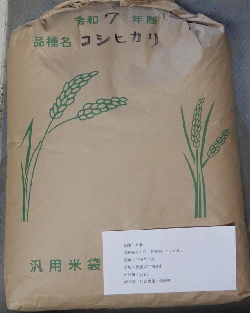 令和7年産 コシヒカリ 玄米25kg 愛媛県産 減農薬 農家直送 送料込み 01