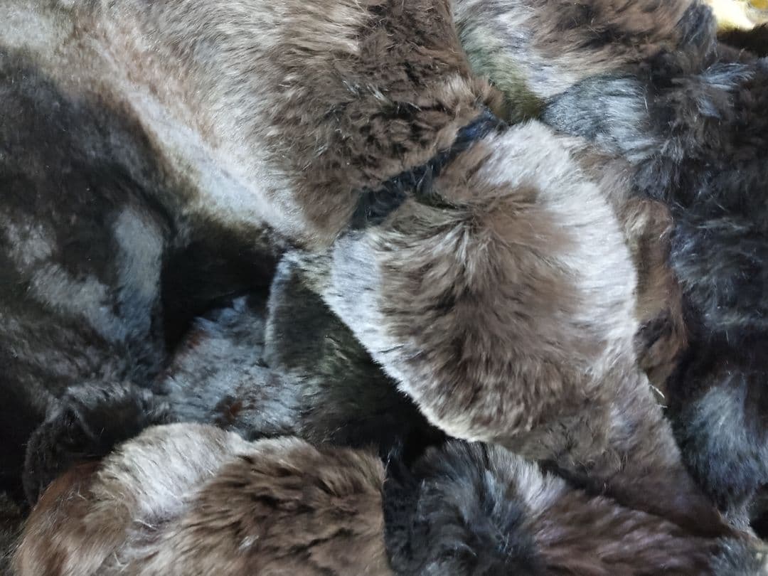 春らんまんHaruRanman 布団 エクセルヒューマン