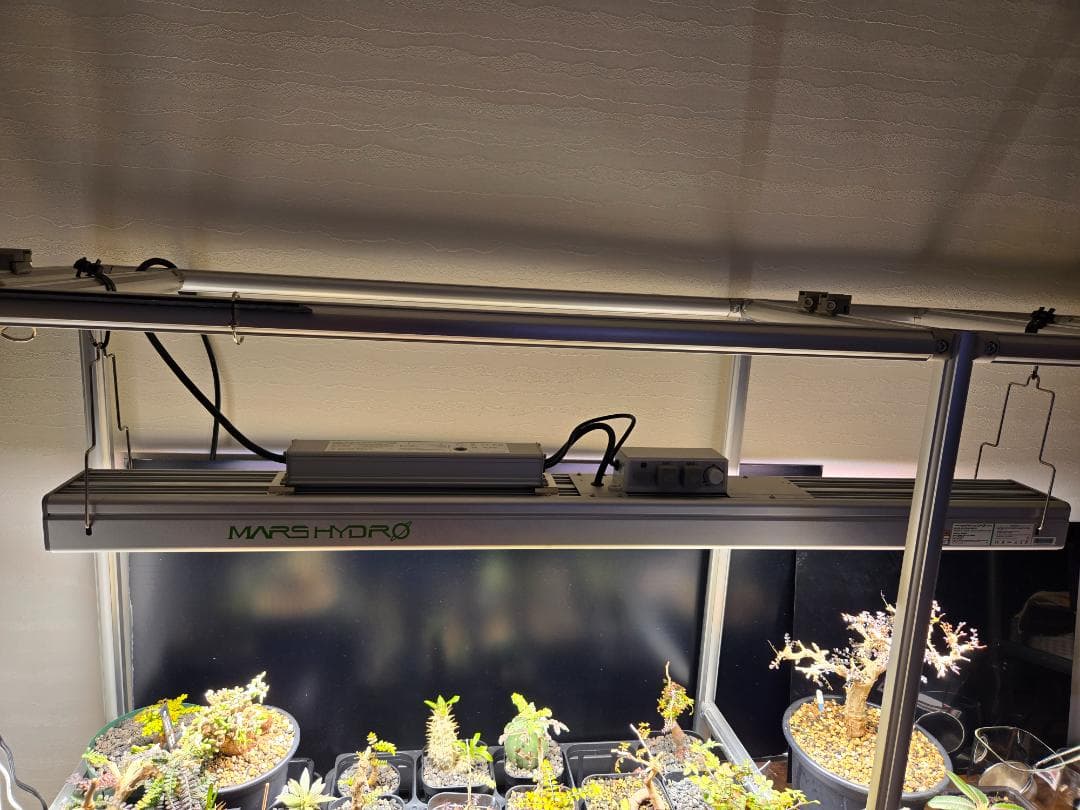 その他 Mars Hydro SP 3000