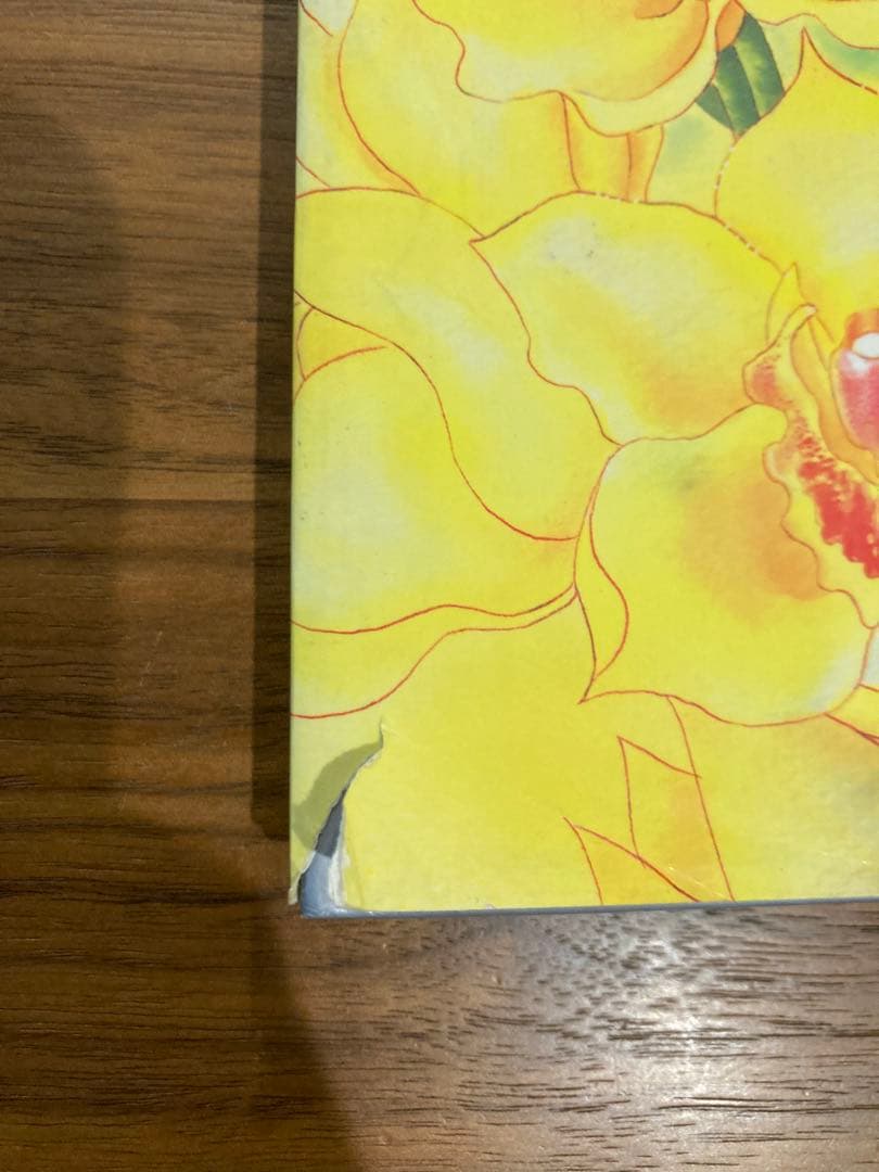 美少女戦士セーラームーン 原画集 vol.1