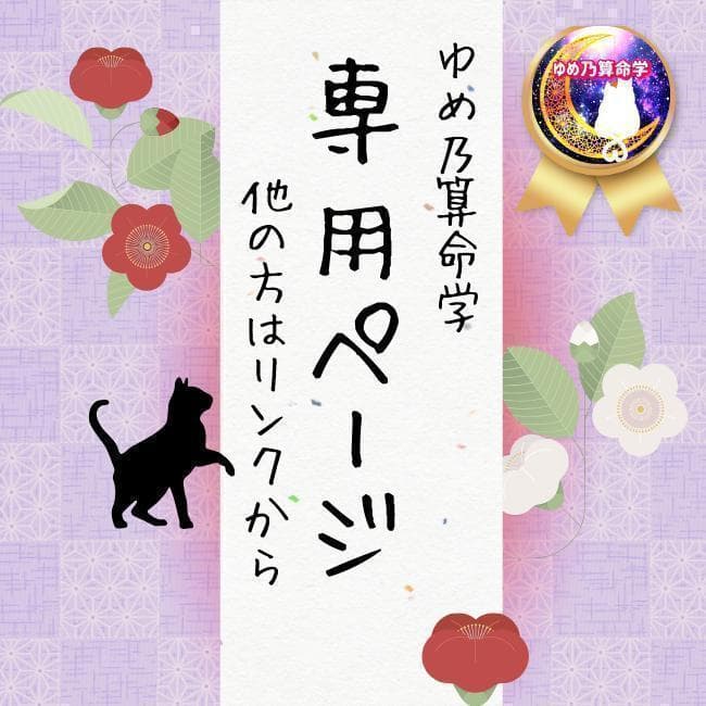 モモさん専用（他の方はリンクからお願い致します）