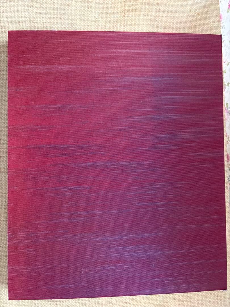 菅田将暉　小松菜奈　写真集　FF0921