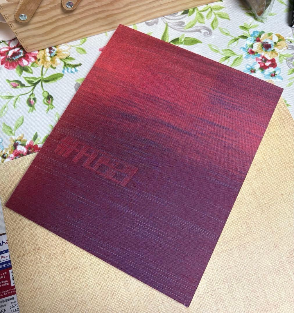 菅田将暉　小松菜奈　写真集　FF0921