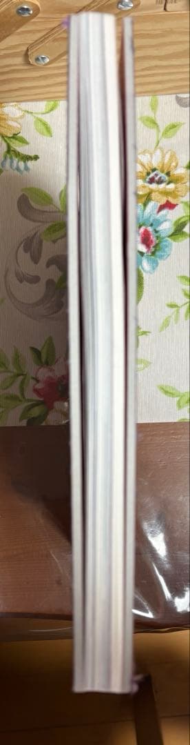 菅田将暉　小松菜奈　写真集　FF0921