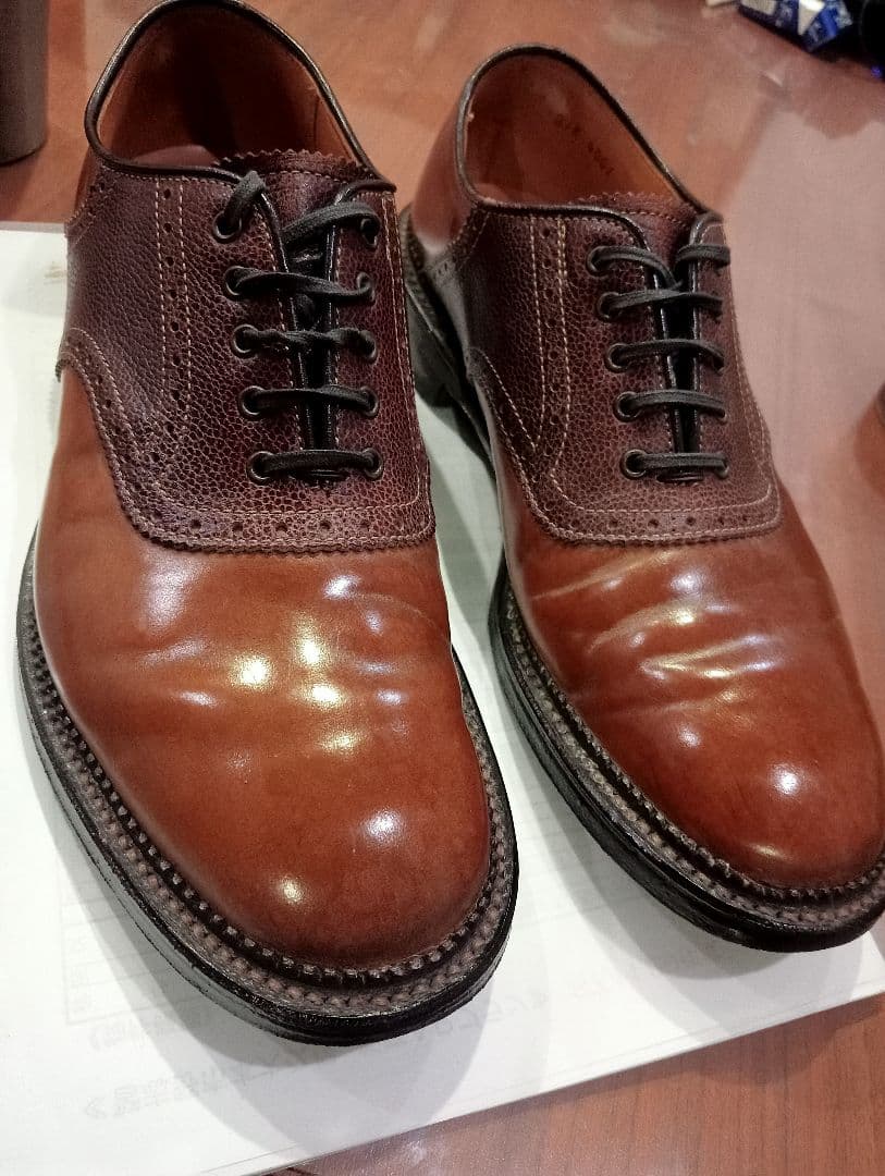 コードバン　シェットランドフォックス25.0