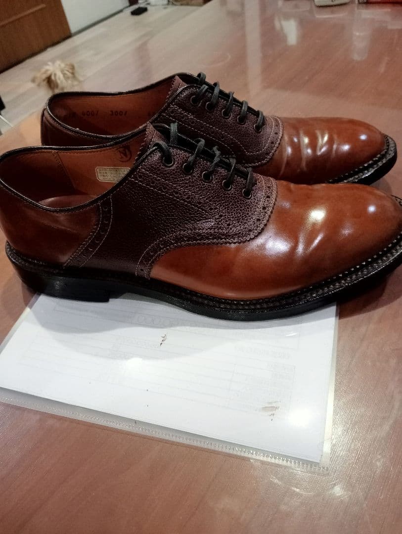 コードバン　シェットランドフォックス25.0