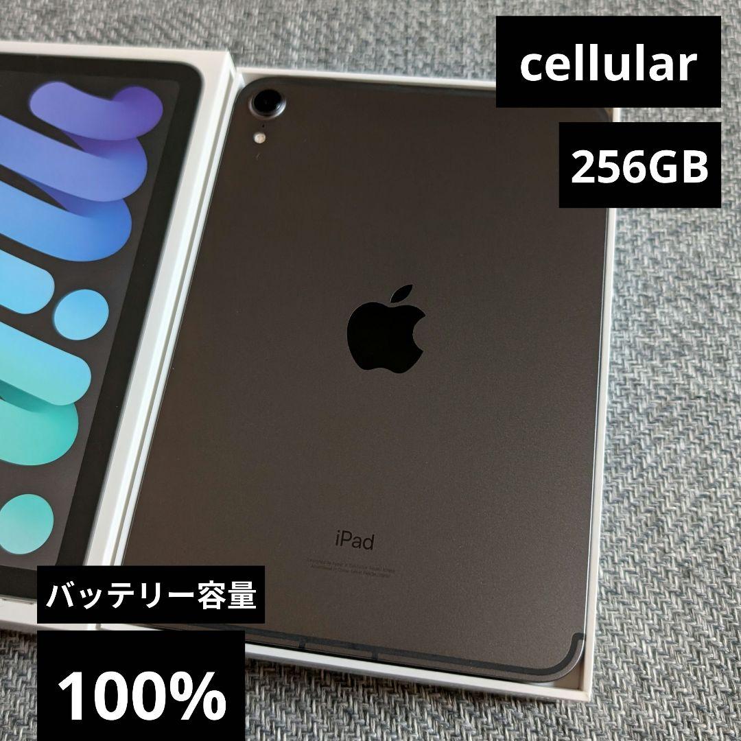 100% 超美品 iPad mini 6 WiFi + セルラー 256GB
