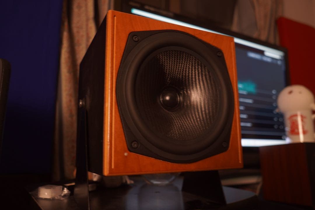 KS Digital c5 coax ペア　同軸モニタースピーカー