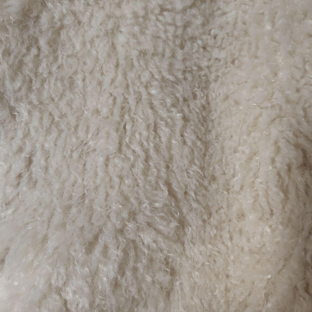 20日削除ボルジーファーベストとワンピース