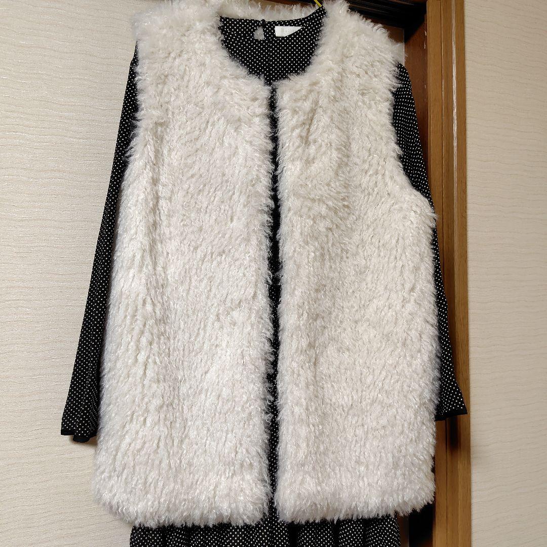 20日削除ボルジーファーベストとワンピース