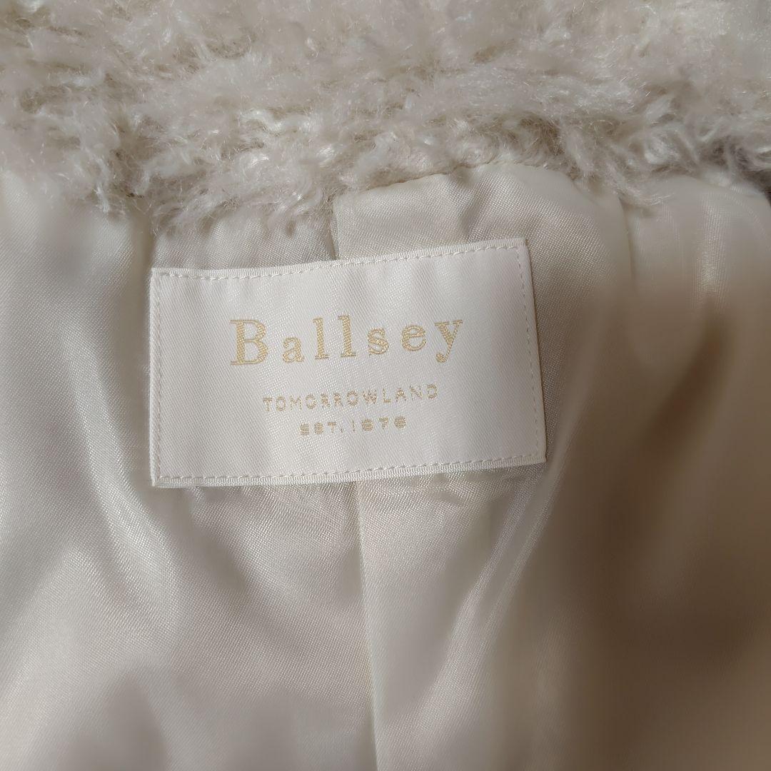 20日削除ボルジーファーベストとワンピース