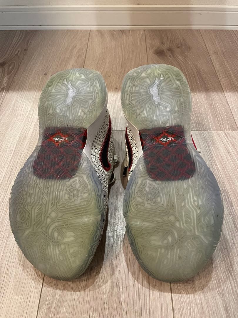 Nike レブロン20 バスケットボールシューズ ホワイト