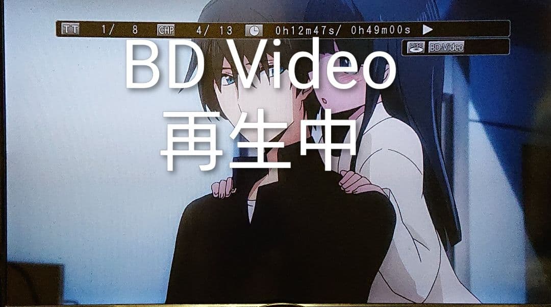 最終価格/5TB/東芝/DBR-M490/レグザ/全録/純正リモコン付