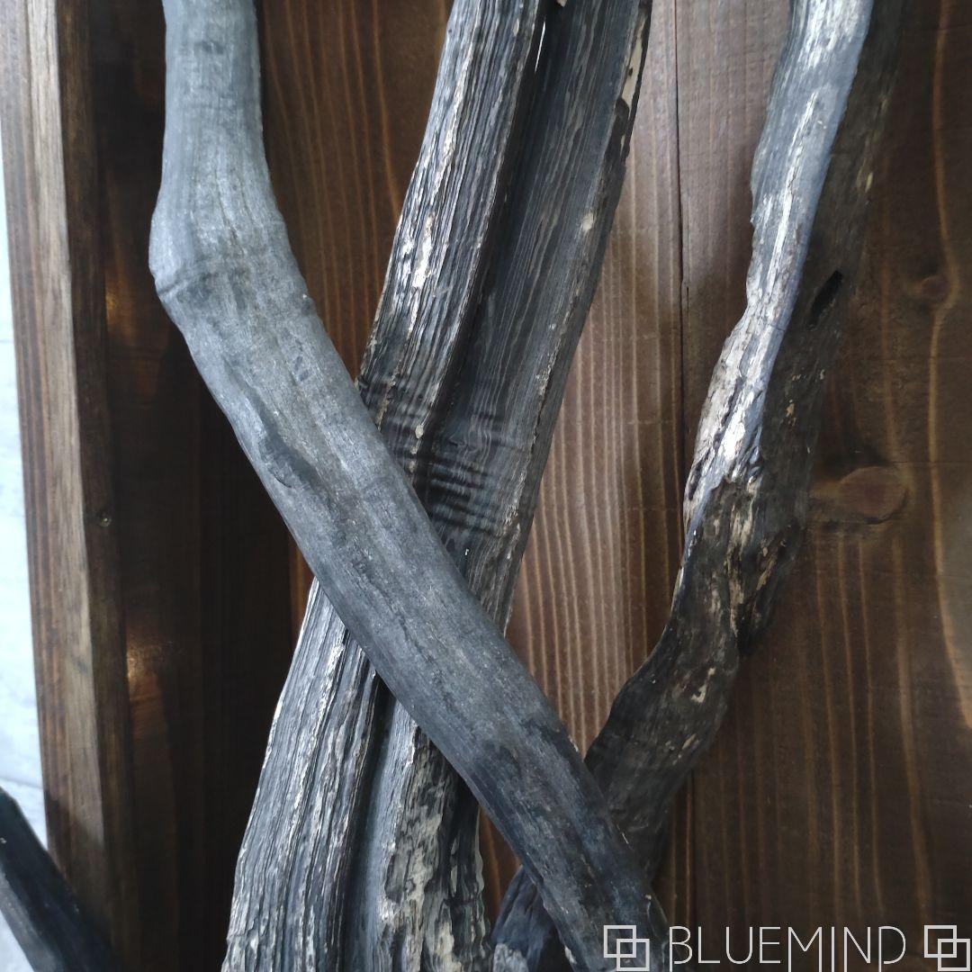 No.1229 黒流木の照明付きオブジェ 流木インテリア