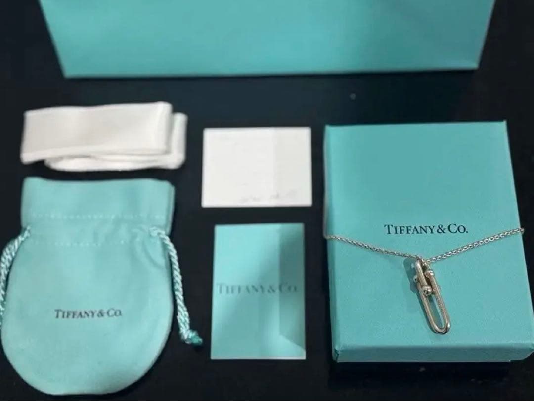 り*ん様 ✨付属品全て有 /ティファニーハードウェア　スターリングシルバー※最終