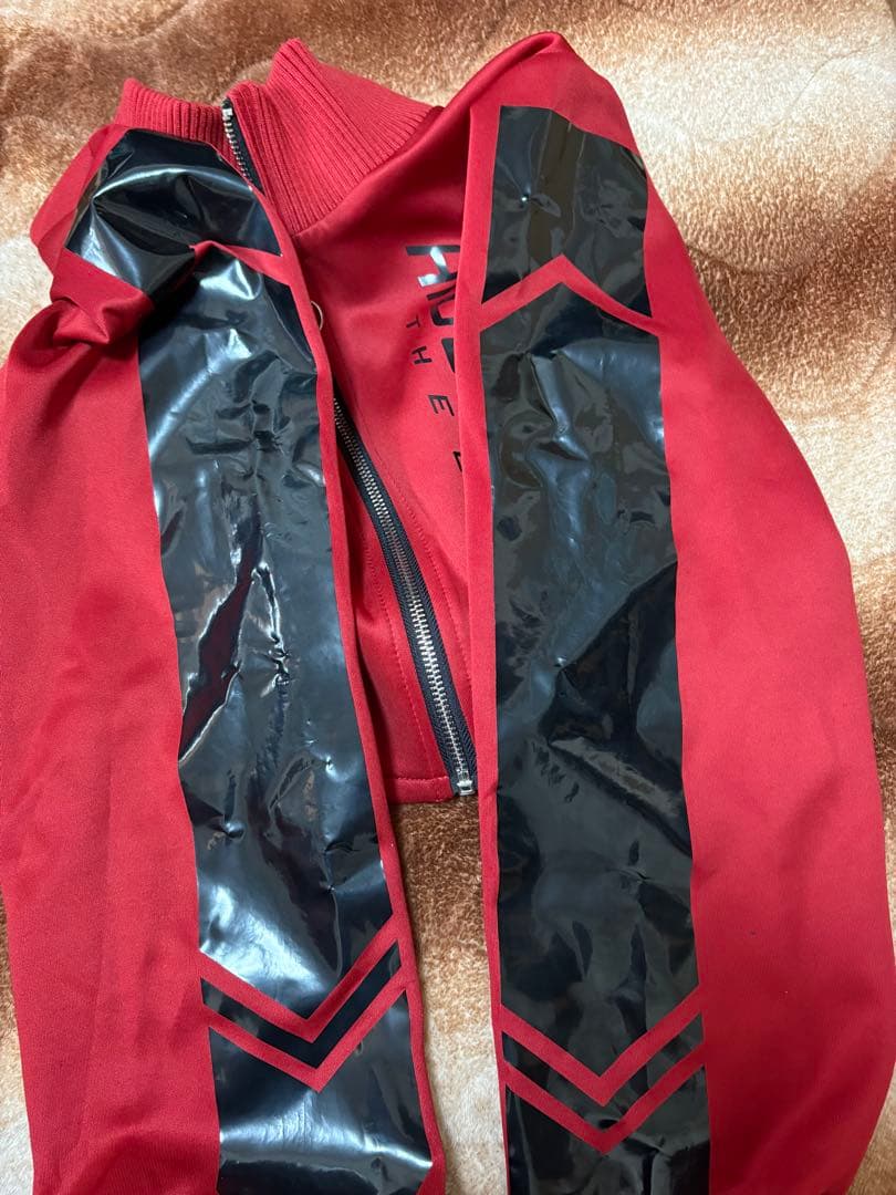 hidolatral theodol サイバージャージセットアップ