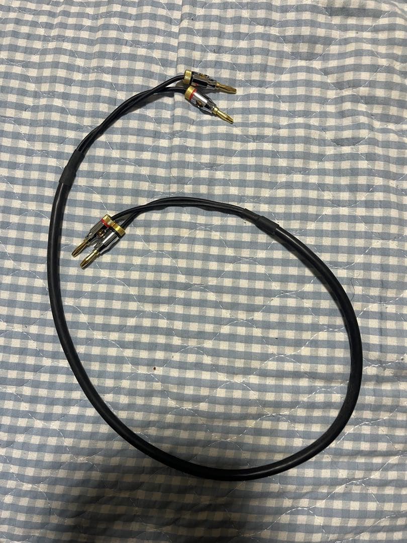 POLK AUDIO SIGNATURE ELITE ES10　ケーブルおまけ