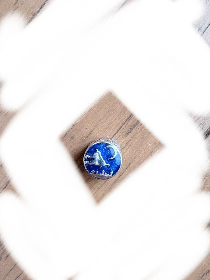 Pandora シルバーチャーム まとめ売り