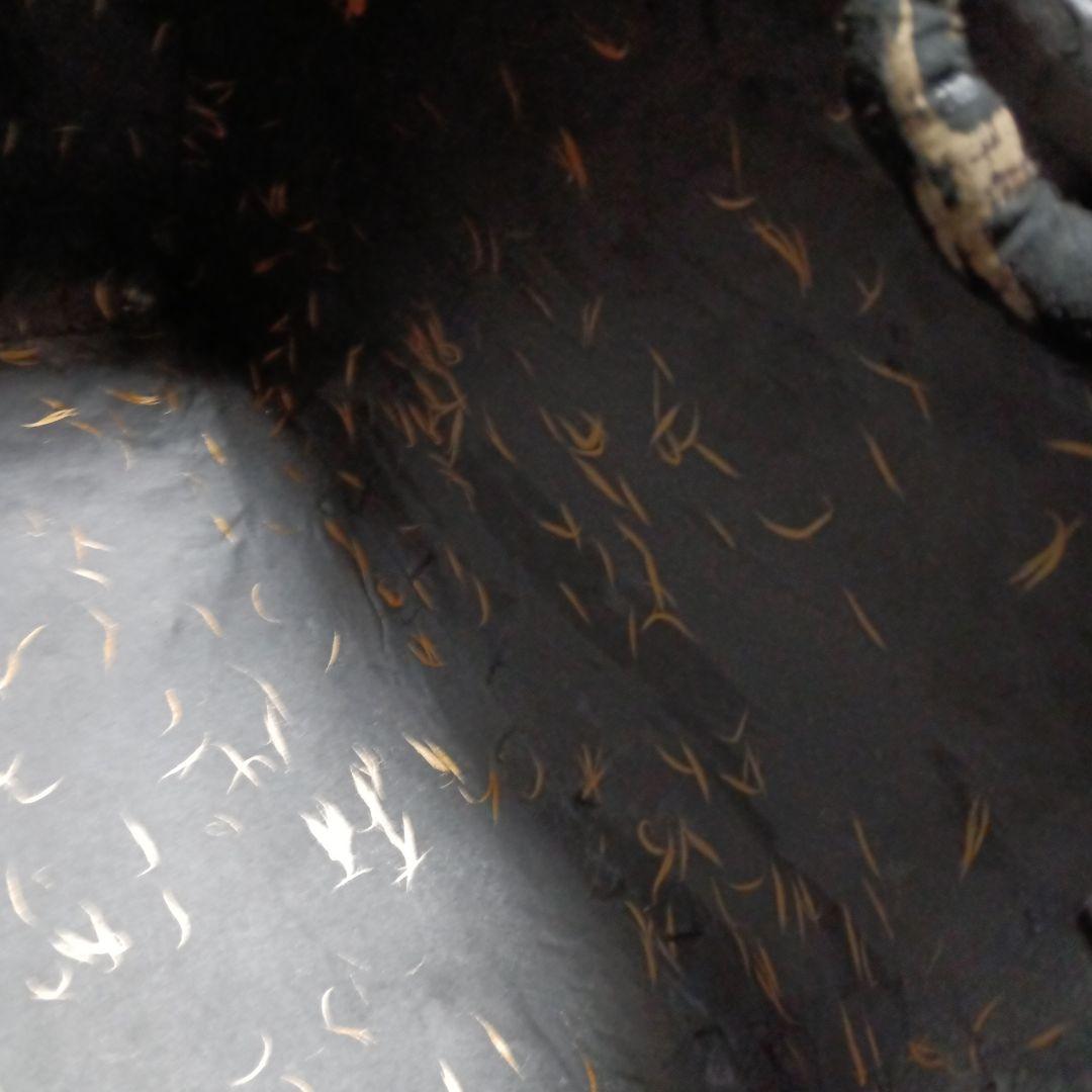 ■世界にひとつ■　一閑張り　柿渋　鳥獣戯画　黒