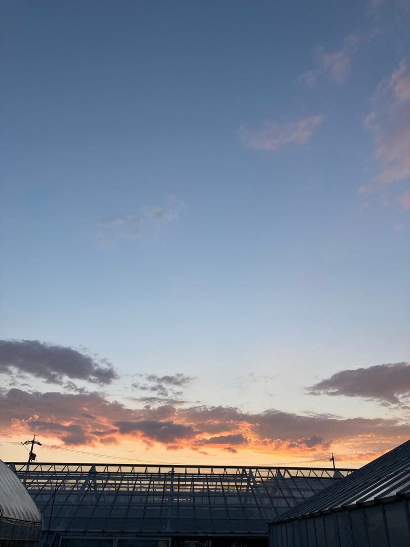 こだわりのお米　つきあかり　生産者直送　精米10キロ　令和7年度産