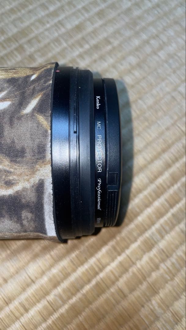 レンズ(ズーム) SONY FE 200-600mm F5.6-6.3G OSS