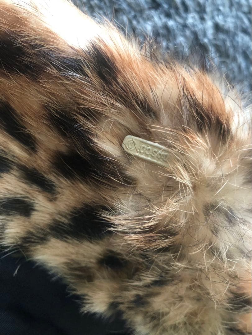 JOSEPH ジョセフ　レオパード　ラビットファー