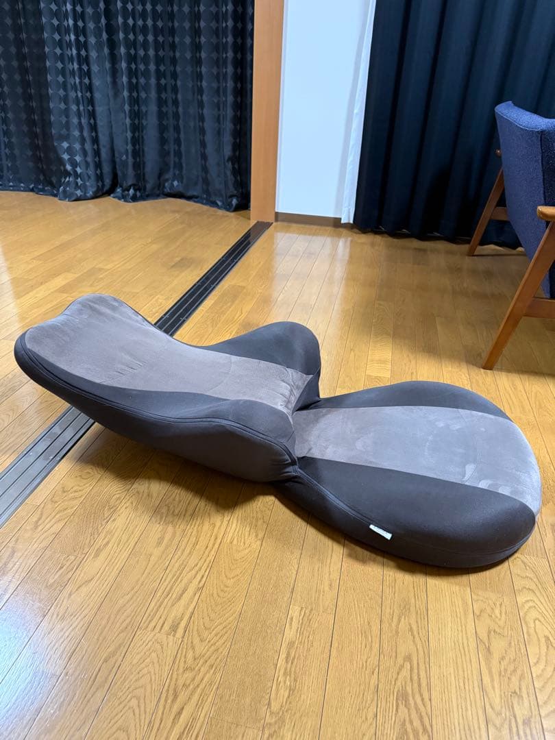 EXGEL エクスジェル 座椅子 ハグ床座 骨盤サポート HUG YUKAZA