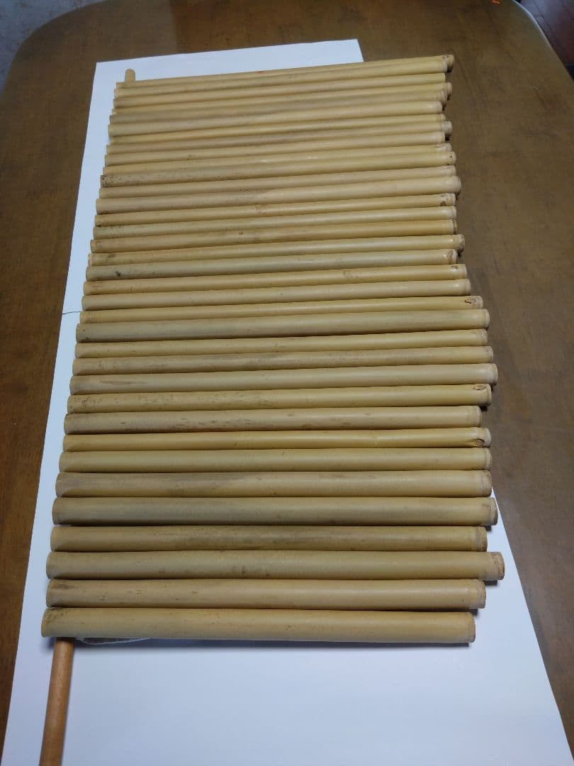 女竹　35本セット