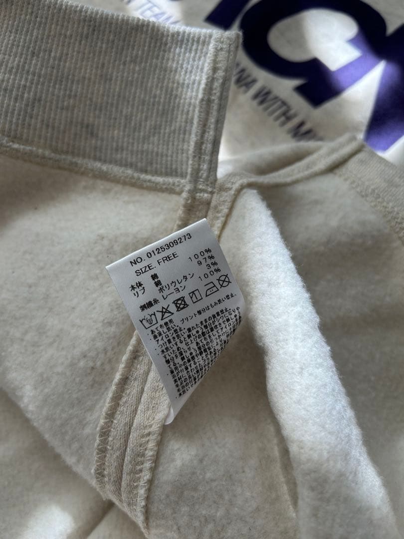 AMERICANA 15th ANNIVERSARY ロゴフードパーカー