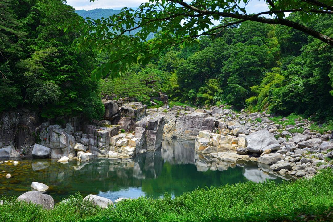 Nikon 24mm f/2.8 単焦点レンズ