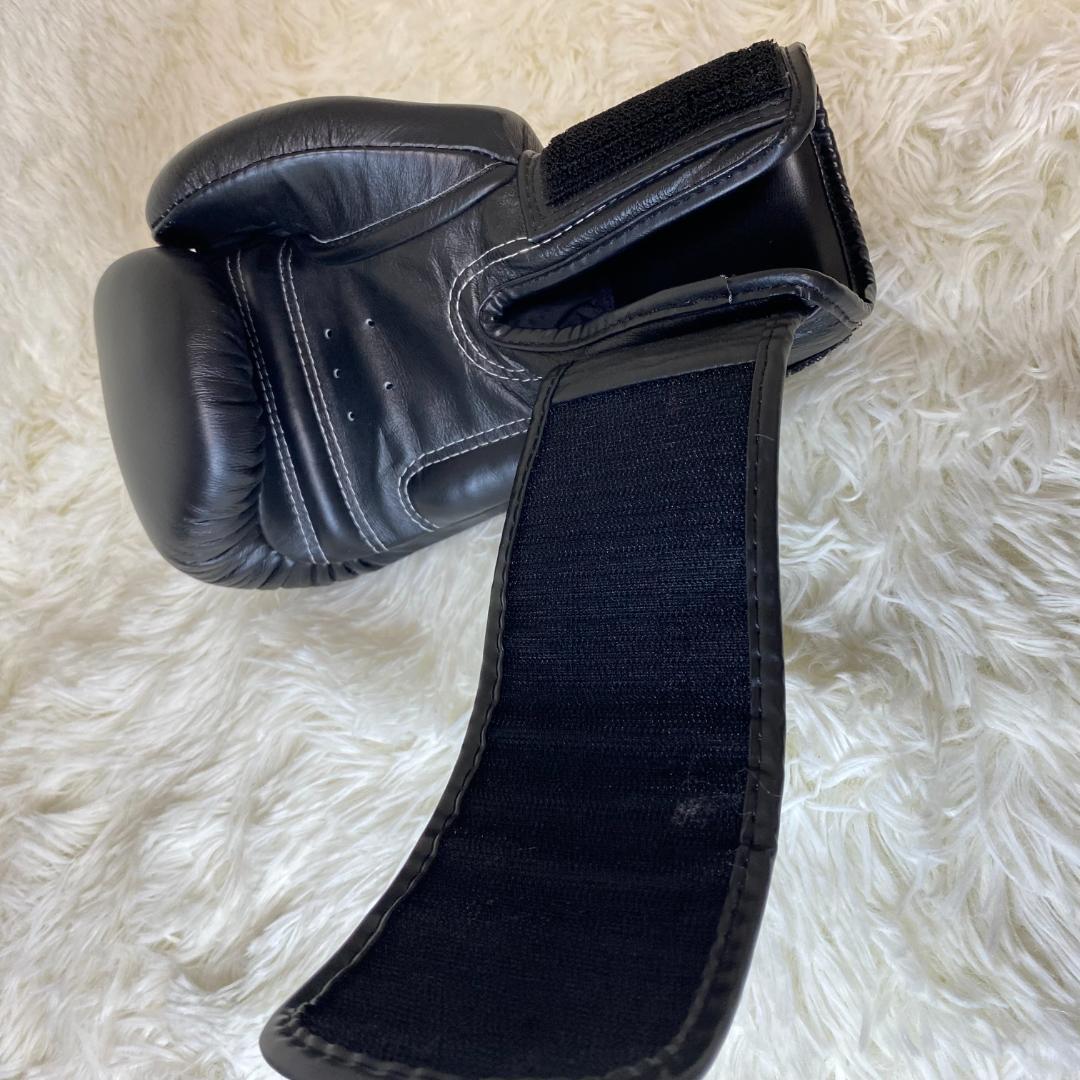 【美品】TWINS SPECIAL ボクシンググローブ 8oz
