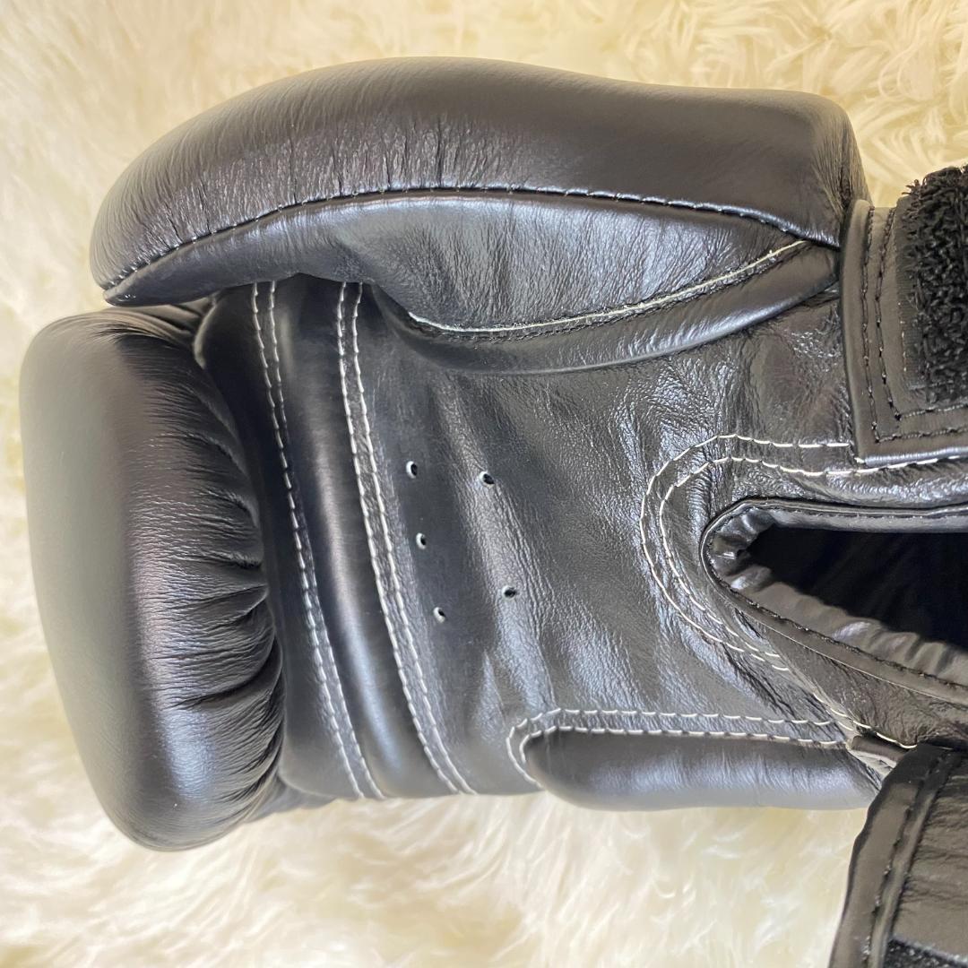 【美品】TWINS SPECIAL ボクシンググローブ 8oz