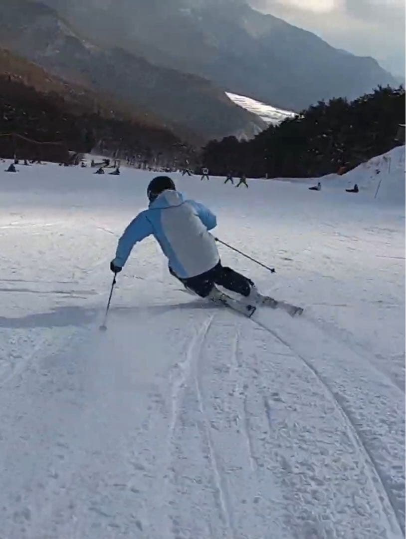 スキーウェア 上下 ゴールドウィン